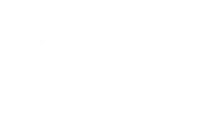 Real Estate Academy Logo White